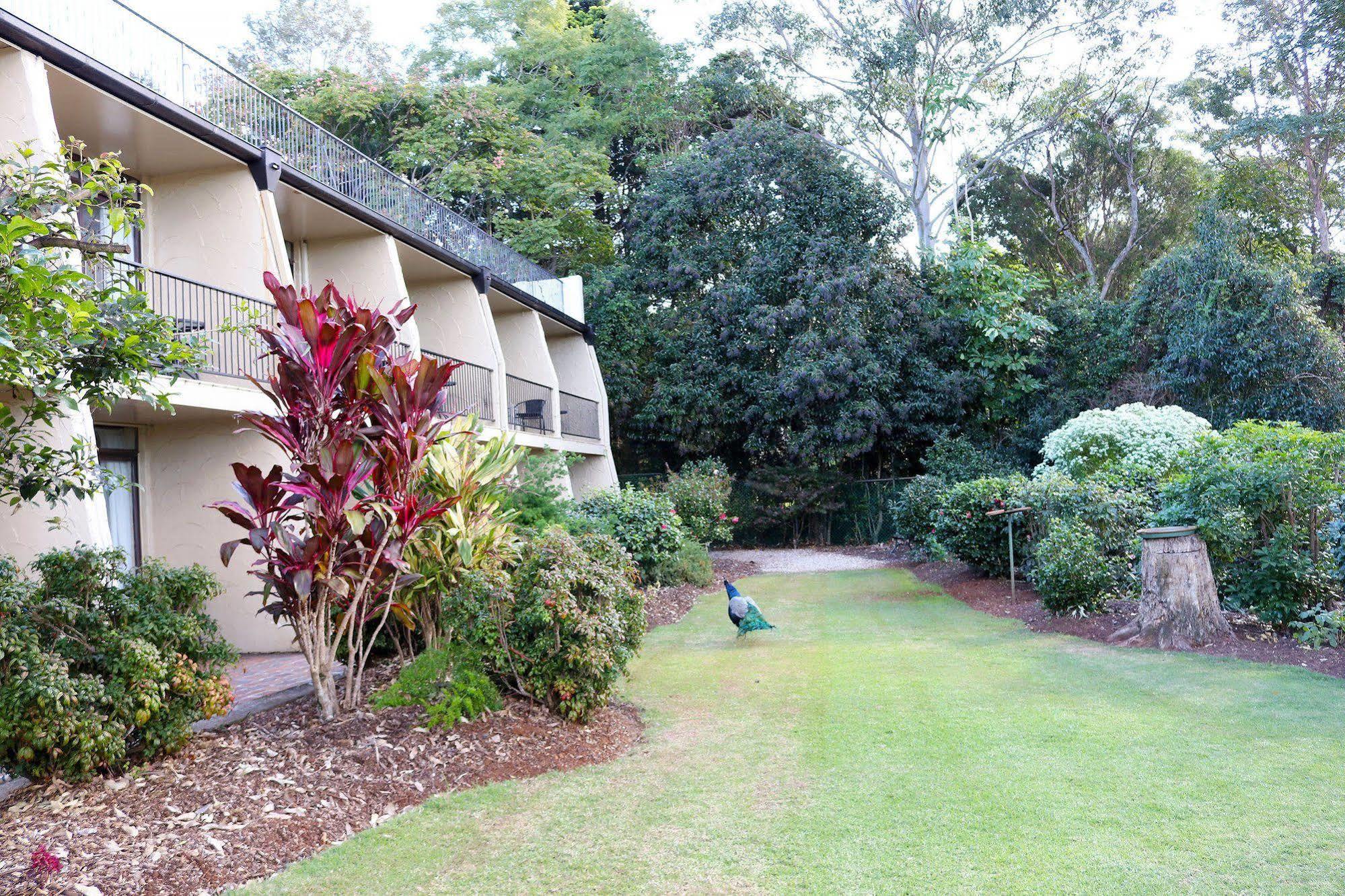 The Tamborine - Boutique Hotel Mount Tamborine Εξωτερικό φωτογραφία